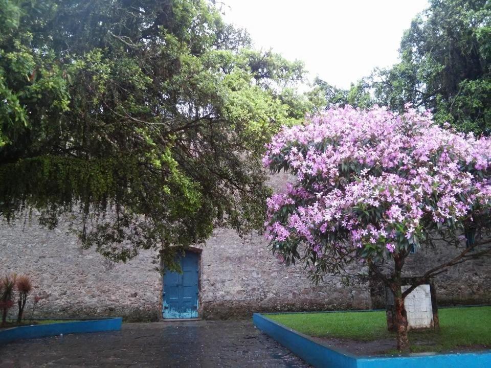 Pousada Ramos Na Areia Hotel Itanhaem Exterior photo